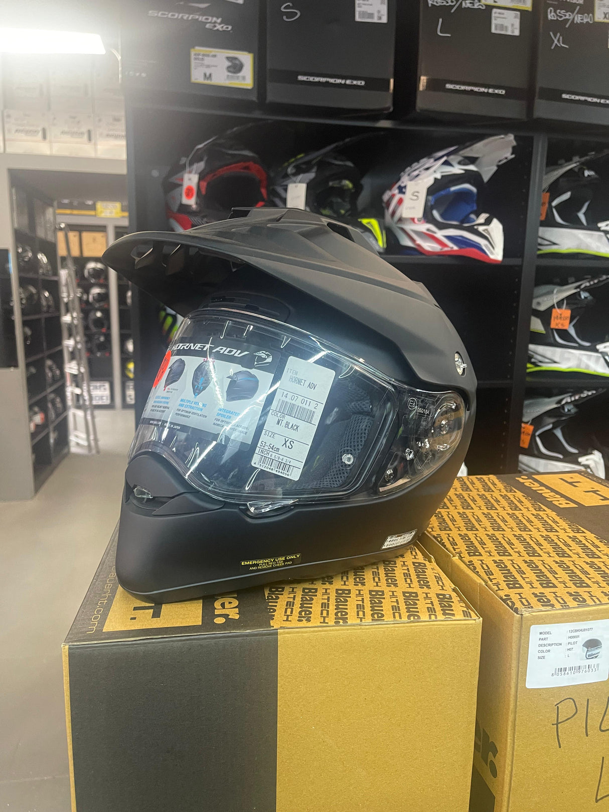 SHOEI - HORNET ADV XS